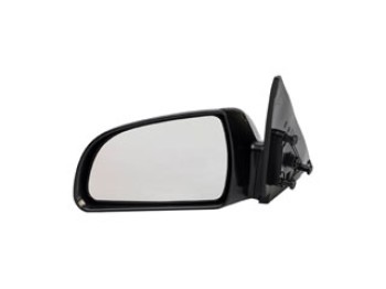 Door Mirror