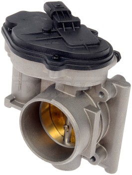 Fuel Injection Throttle Body