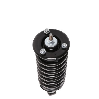 Suspension Strut and Coil Spring Assembly