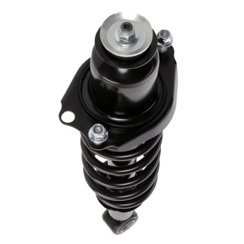 Suspension Strut and Coil Spring Assembly