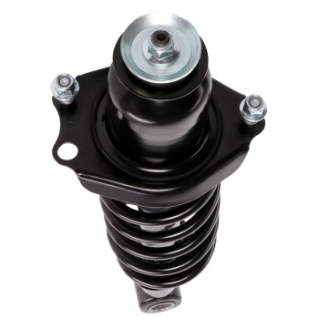 Suspension Strut and Coil Spring Assembly