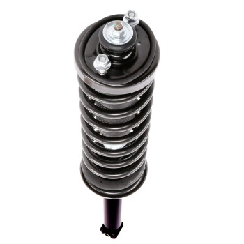 Suspension Strut and Coil Spring Assembly