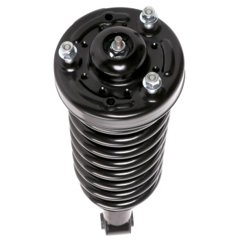 Suspension Strut and Coil Spring Assembly