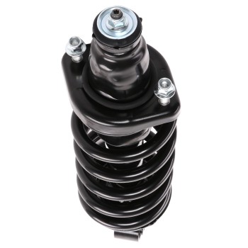 Suspension Strut and Coil Spring Assembly