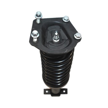 Suspension Strut and Coil Spring Assembly