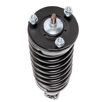 Suspension Strut and Coil Spring Assembly