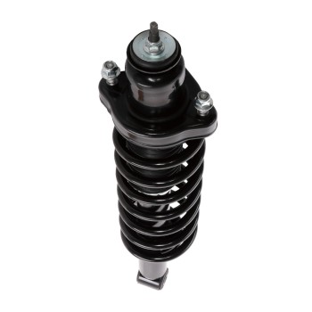 Suspension Strut and Coil Spring Assembly