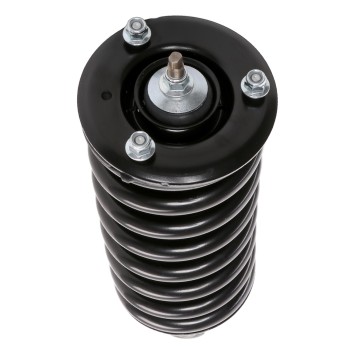 Suspension Strut and Coil Spring Assembly