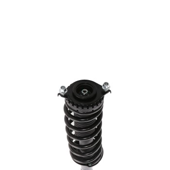Suspension Strut and Coil Spring Assembly