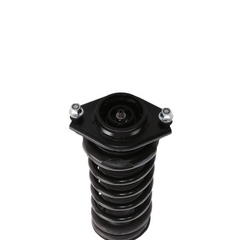 Suspension Strut and Coil Spring Assembly