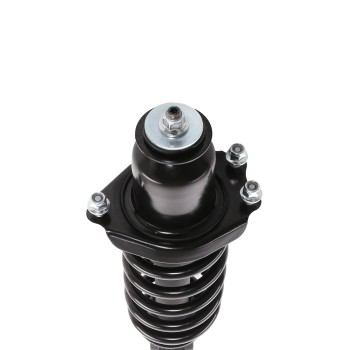 Suspension Strut and Coil Spring Assembly