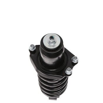 Suspension Strut and Coil Spring Assembly