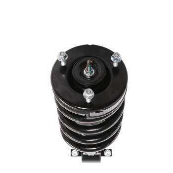 Suspension Strut and Coil Spring Assembly