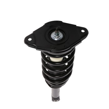 Suspension Strut and Coil Spring Assembly