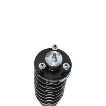 Suspension Strut and Coil Spring Assembly