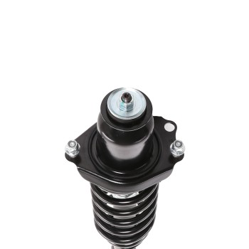 Suspension Strut and Coil Spring Assembly