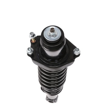 Suspension Strut and Coil Spring Assembly