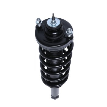 Suspension Strut and Coil Spring Assembly