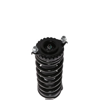 Suspension Strut and Coil Spring Assembly