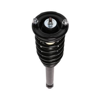Suspension Strut and Coil Spring Assembly