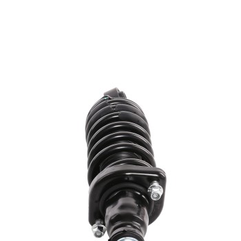 Suspension Strut and Coil Spring Assembly