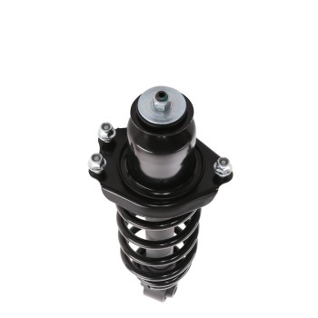 Suspension Strut and Coil Spring Assembly