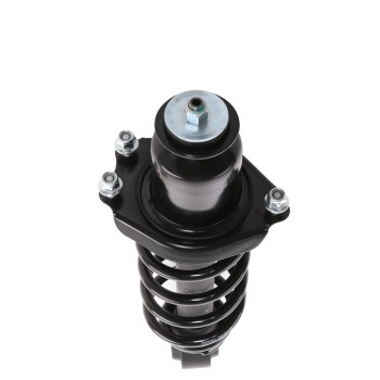 Suspension Strut and Coil Spring Assembly