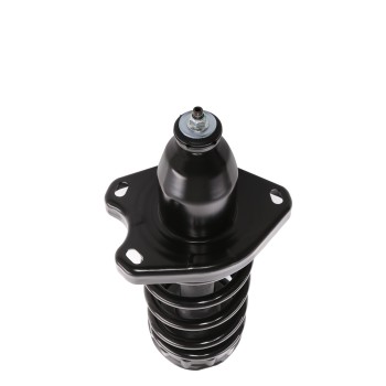 Suspension Strut and Coil Spring Assembly