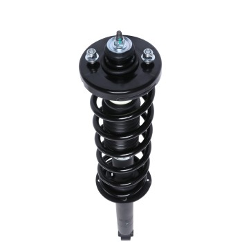 Suspension Strut and Coil Spring Assembly