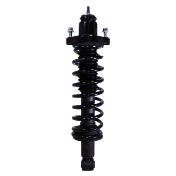 Suspension Strut and Coil Spring Assembly