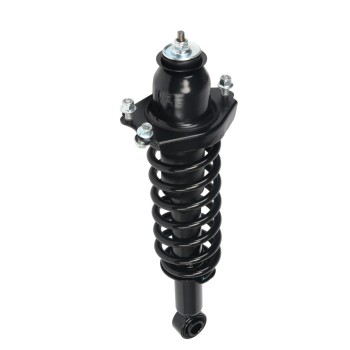 Suspension Strut and Coil Spring Assembly