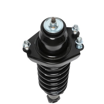 Suspension Strut and Coil Spring Assembly
