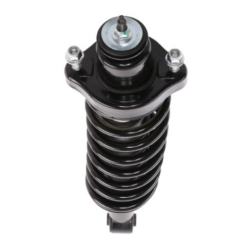 Suspension Strut and Coil Spring Assembly