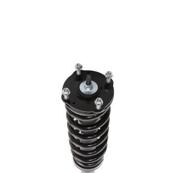 Suspension Strut and Coil Spring Assembly