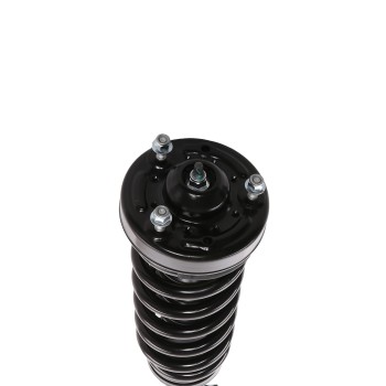 Suspension Strut and Coil Spring Assembly