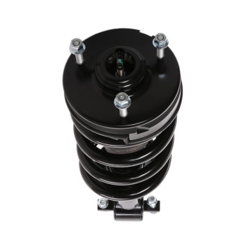 Suspension Strut and Coil Spring Assembly