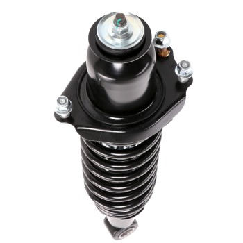 Suspension Strut and Coil Spring Assembly