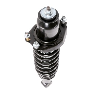 Suspension Strut and Coil Spring Assembly