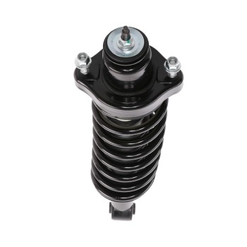 Suspension Strut and Coil Spring Assembly