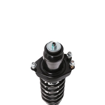 Suspension Strut and Coil Spring Assembly