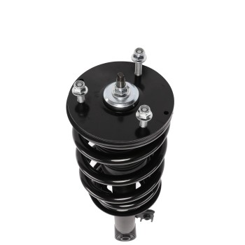 Suspension Strut and Coil Spring Assembly