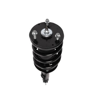 Suspension Strut and Coil Spring Assembly