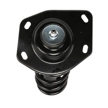 Suspension Strut and Coil Spring Assembly