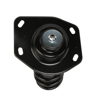 Suspension Strut and Coil Spring Assembly