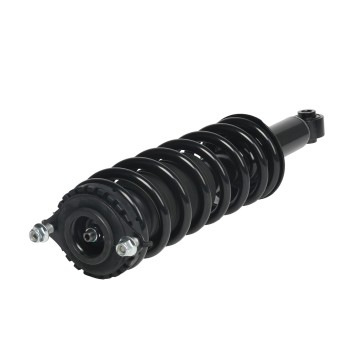 Suspension Strut and Coil Spring Assembly