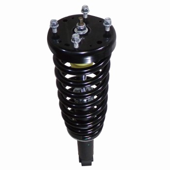 Suspension Strut and Coil Spring Assembly