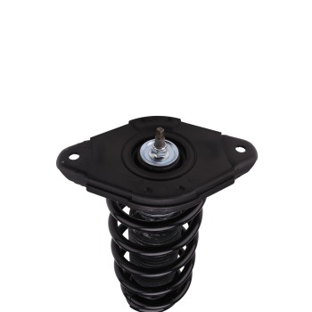 Suspension Strut and Coil Spring Assembly