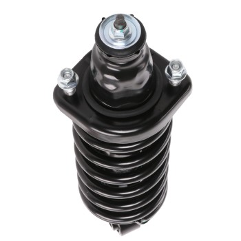 Suspension Strut and Coil Spring Assembly