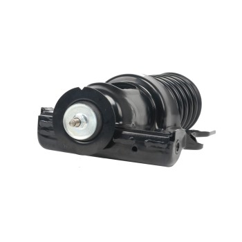 Suspension Strut and Coil Spring Assembly