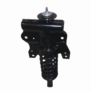 Suspension Strut and Coil Spring Assembly